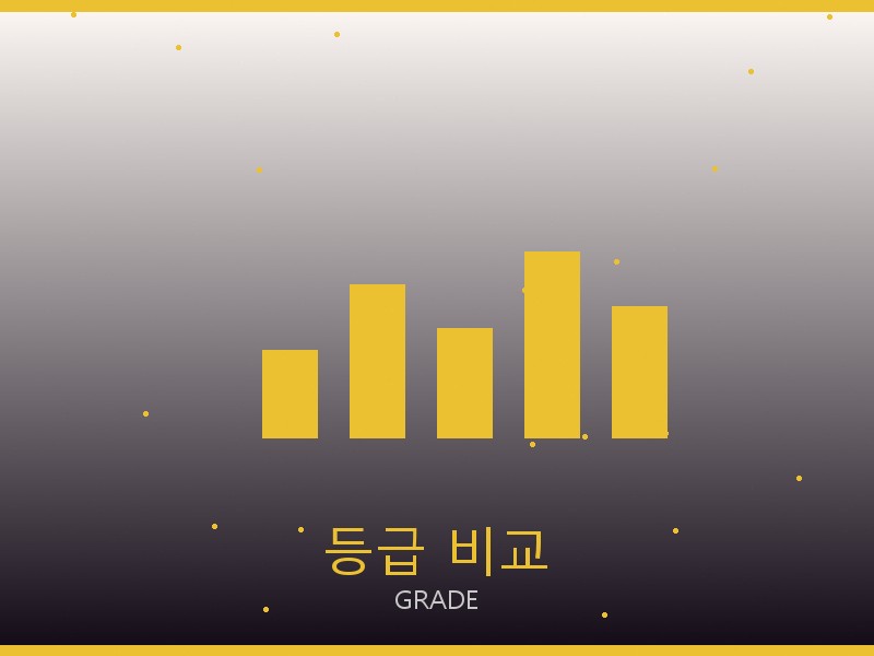 네오노에BB S급 사이트 등급 기준 비교